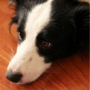 黄色老师上床女人拍啪黄色下载轶
